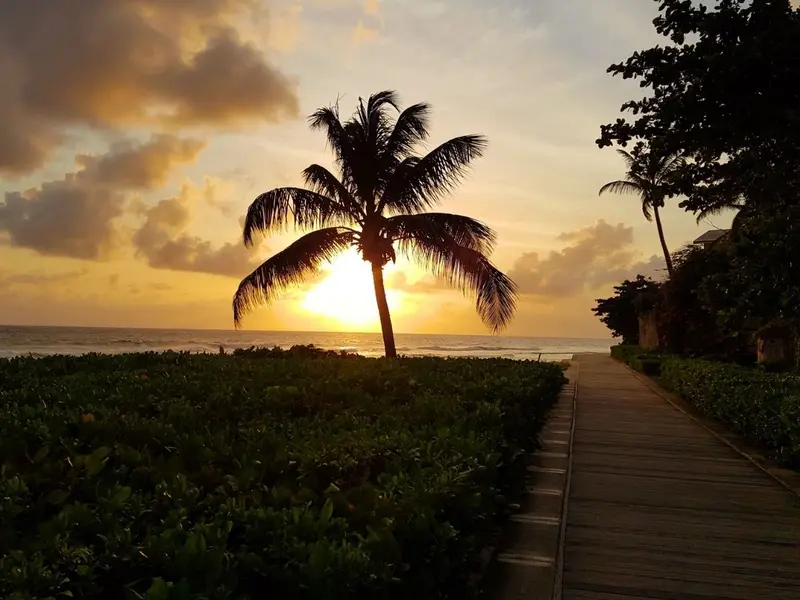 Enjoy a tropical sunset view from the south coast boardwalk.